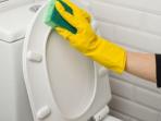 5 Cara Membersihkan Toilet dengan Bahan Alami, Hilangkan Bau Tak Sedap