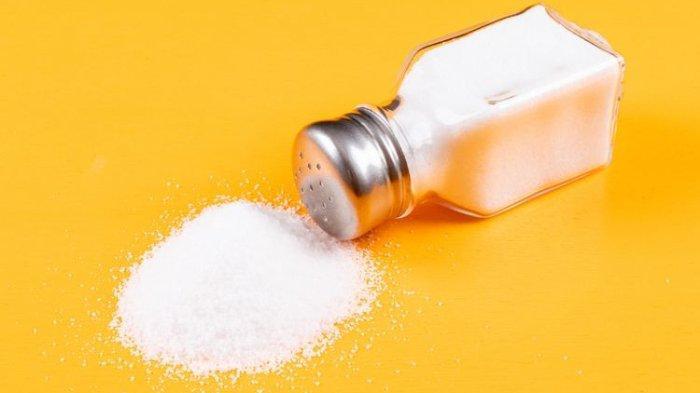 Gambar garam (TribunShopping.com) 