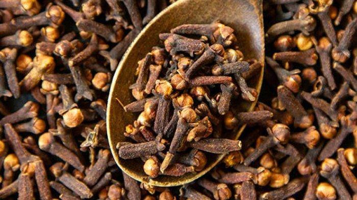 Cengkeh (Tribunnews.com) 