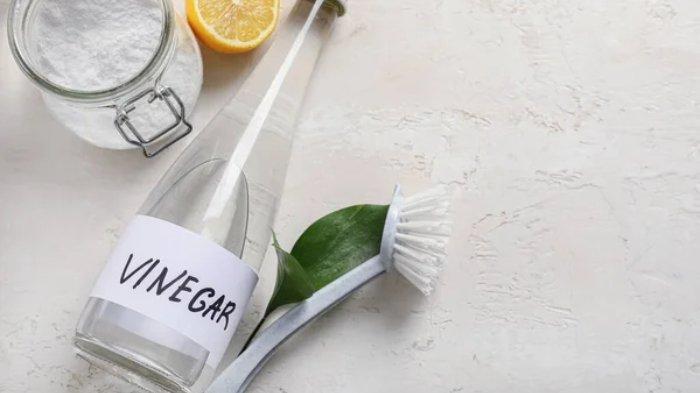 Cuka Putih (TribunShopping.com) 