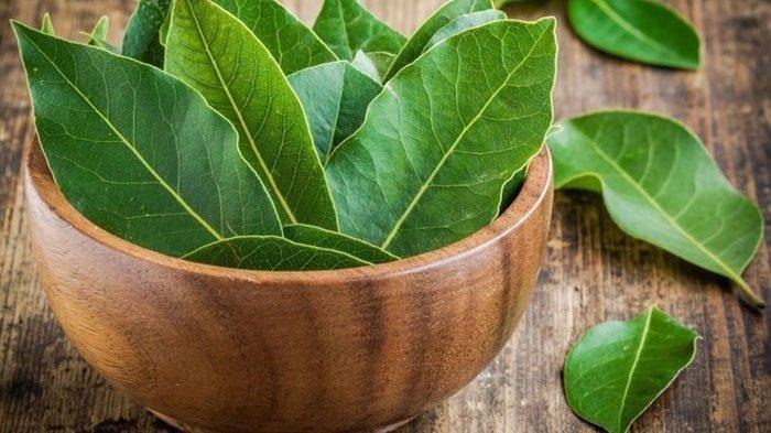 Daun Salam (Tribunnews.com) 