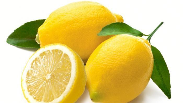 Ilustrasi buah lemon