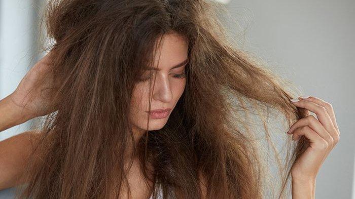 Rambut kering dan kusam | Tribunnews.com