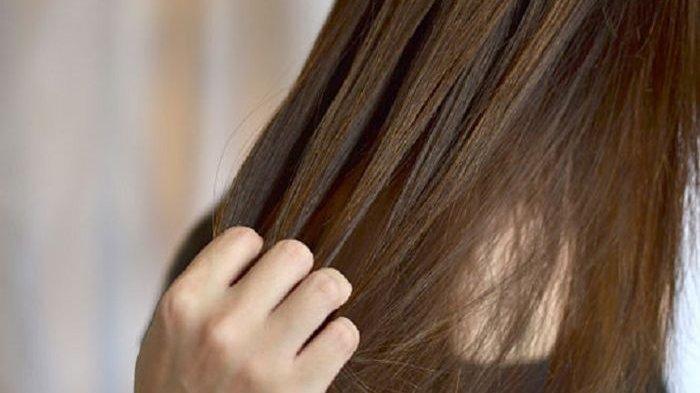 Rambut rapuh dan mudah patah | Tribunnews.com