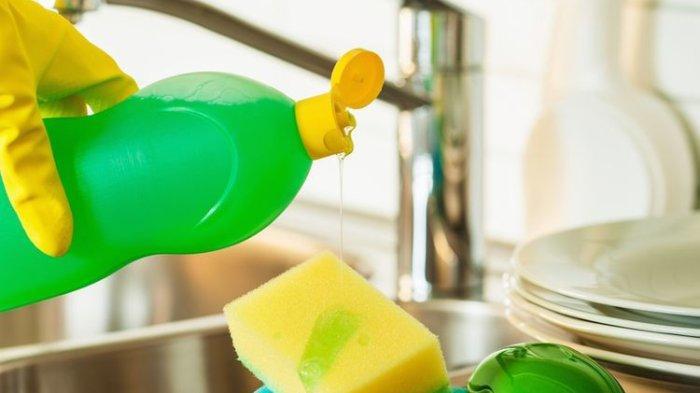 Sabun Cuci Piring (Tribunnews.com) 