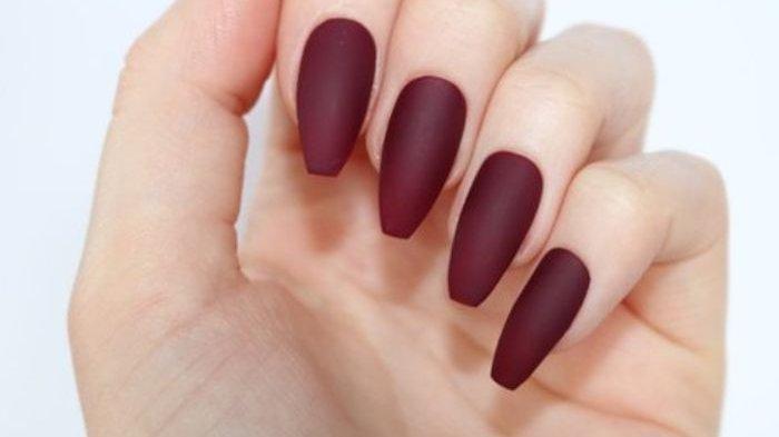 kuku | Tribunnews.com