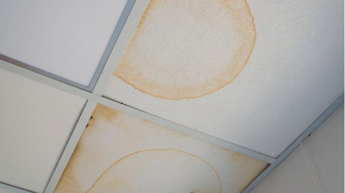 2 Cara Menghilangkan Noda Air yang Menguning pada Plafon Rumah