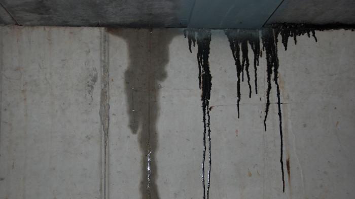 Ilustrasi Tembok yang Mengalami Kebocoran. (The Spruce)