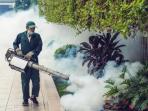 Kapan Jasa Fogging Dibutuhkan? Ini 4 Penjelasannya