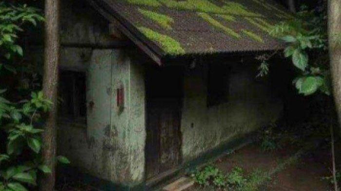 5 Cara Menghilangkan Lumut di Atap Rumah, Dijamin Langsung Bersih