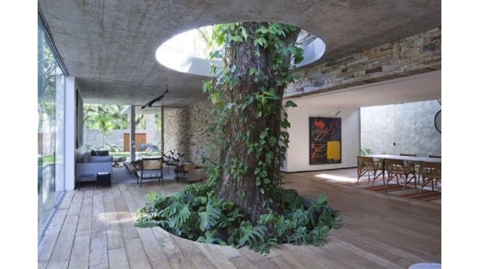 Ilustrasi Rumah dengan Elemen Alam