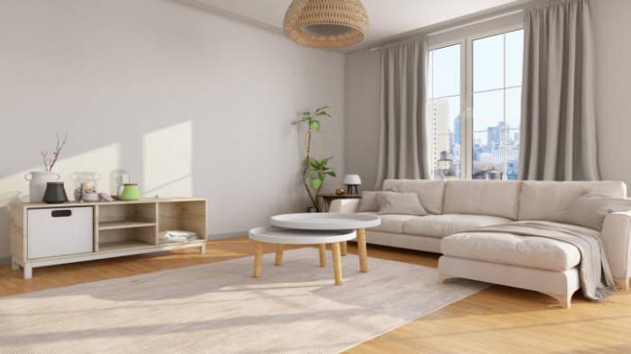 Karpet dengan Warna Natural