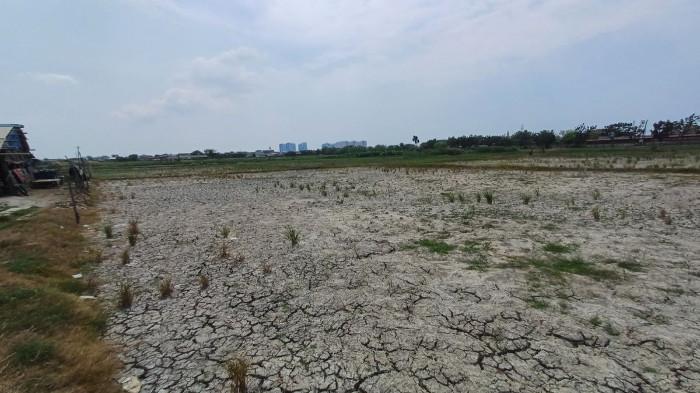 Perhatikan 8 Hal Ini Agar Tidak Tertipu Sebelum Menyewa Tanah