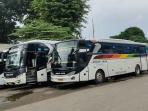 Daftar Harga Tiket Bus Sinar Jaya Lebaran 2025, Keberangkatan Jabotabek ke Jateng, Jabar, Jatim, dan Sumatera