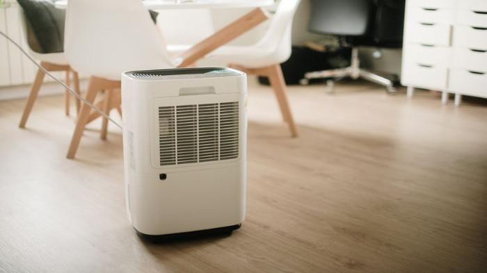 Dehumidifier
