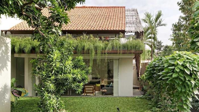 Ilustrasi Pohon yang Tertanam pada Halaman Rumah. (Kompas Properti)