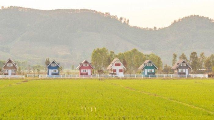 Ilustrasi Suasana Rumah Dekat dengan Sawah. (Tribunnews.com)