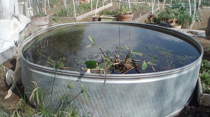 Ilustrasi Tandon Air yang Dijadikan Sebagai Kolam Ikan. (The Redneck Hippie)