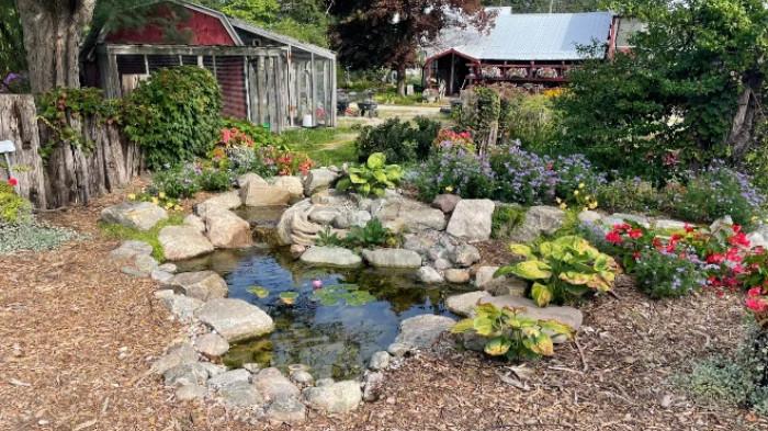 Ilustrasi Tempat yang Ideal untuk Dibangun Taman dan Kolam Ikan. (Grass Roots Pond and Garden)