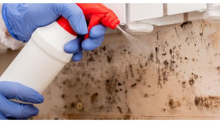 Ilustrasi orang membersihkan dinding dengan cairan antiseptik (Kompas.com)