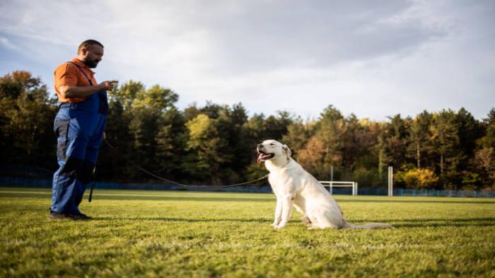 Hasil yang Lebih Terukur