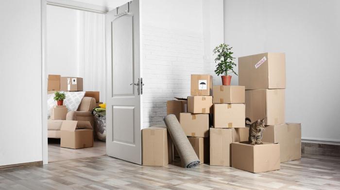 Ilustrasi Kebutuhan Barang Sesaat Pindah Rumah. (Kompas.com)