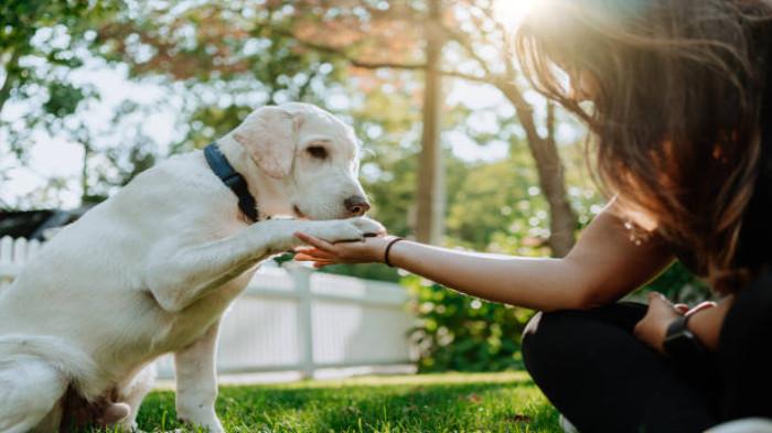 Membentuk Perilaku yang Positif 