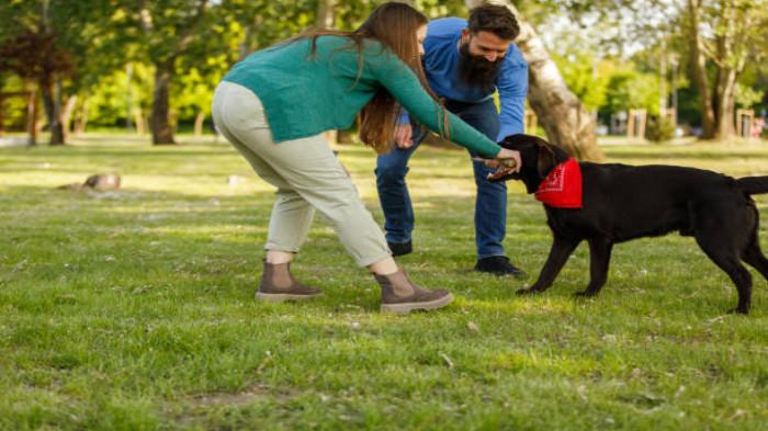 Mengurangi Risiko Perilaku Agresif