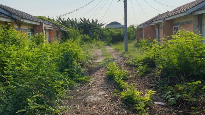 Rumah Subsidi yang Terbengkalai. (Foto : Kompas.com)