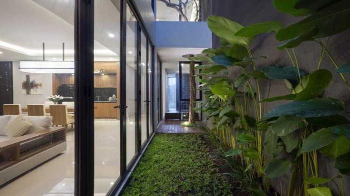 Taman Samping Rumah
