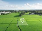 5 Hal Penting yang Harus Diperhatikan Sebelum Membeli Tanah Kosong