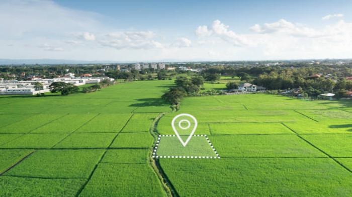 5 Hal Penting yang Harus Diperhatikan Sebelum Membeli Tanah Kosong
