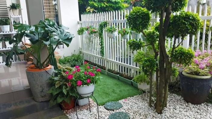 5 Pilihan Tanaman yang Pas untuk Teras Rumah Minimalis
