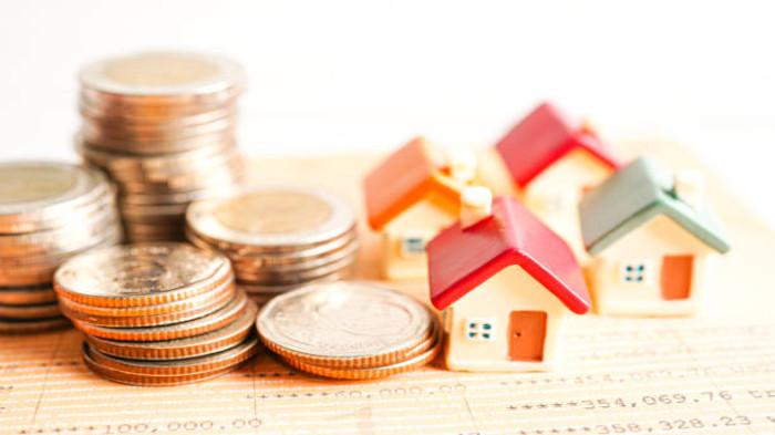 Aktivitas Investasi dan Spekulasi
