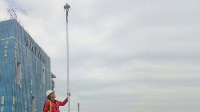 Efisiensi dan Keandalan Jangka Panjang