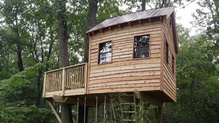 Pentingnya Memilih Pohon yang Kuat untuk Dijadikan Tempat Bertenggernya Rumah Pohon. (Foto : Tree Top Builders)