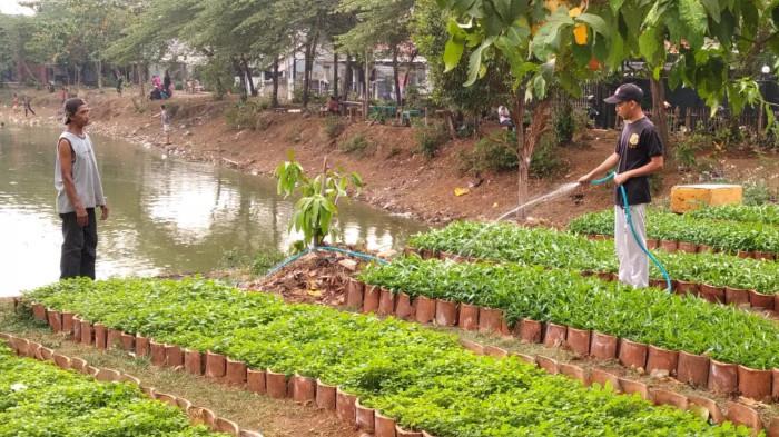 Seorang Warga sedang Menyirami Tumbuhan yang Berada di Pekarangan Rumahnya. (Foto : Pemkot Depok)