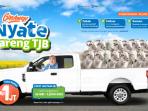 Tebak Jumlah Sapi dan Menangkan Hadiah Rp1 Juta di Giveaway NYATE TJB!