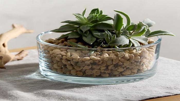 Terrarium Mini di Meja