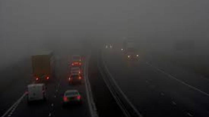 Tidak Disarankan Menggunakan Lampu Hazard Ditengah Hujan Lebat. (Foto : Forbes)