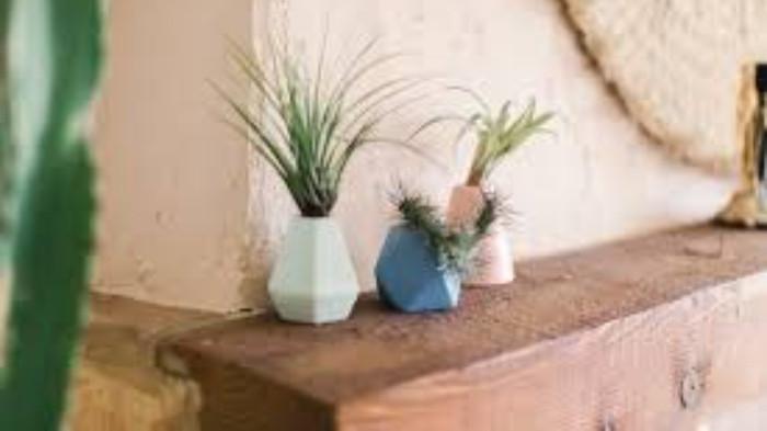 Vas Bunga Kecil yang Terletak Disudut Ruangan. (Foto : Lauren Conrad)