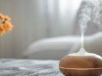 6 Manfaat Penggunaan Pengharum Ruangan untuk Meningkatkan Kenyamanan di Rumah