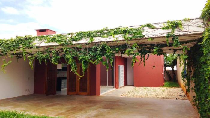 7 Manfaat Tanaman Rambat untuk Mempercantik Kanopi Rumah