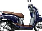 Cek Harga Motor Bekas Honda Scoopy 2017 per Juni 2025