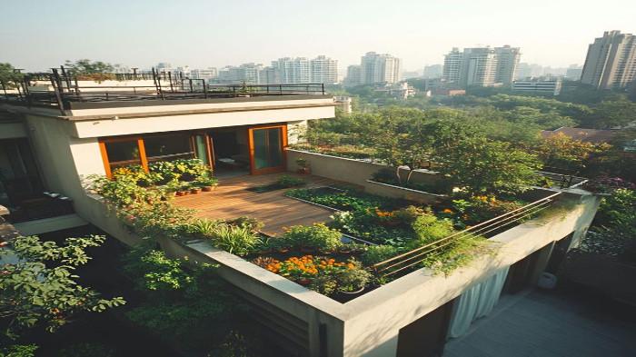 Rumah Tropis Modern dengan Rooftop Garden