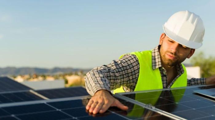 Umur Panjang dan Perawatan Minimal