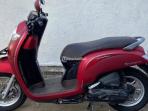 Cek Harga Bekas Honda Scoopy Tahun 2015-2019 per Februari 2026 Murah Banget di Bawah Rp 10 Juta