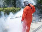 3 Jenis Layanan Jasa Fogging Nyamuk, Jangan Salah Pilih