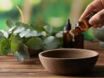 5 Aroma yang Dibenci Kecoa, Membuat Rumah Wangi Sepanjang Hari