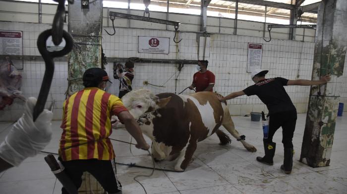 4 Faktor yang Membuat Jasa Pemotongan Hewan Semakin Dibutuhkan